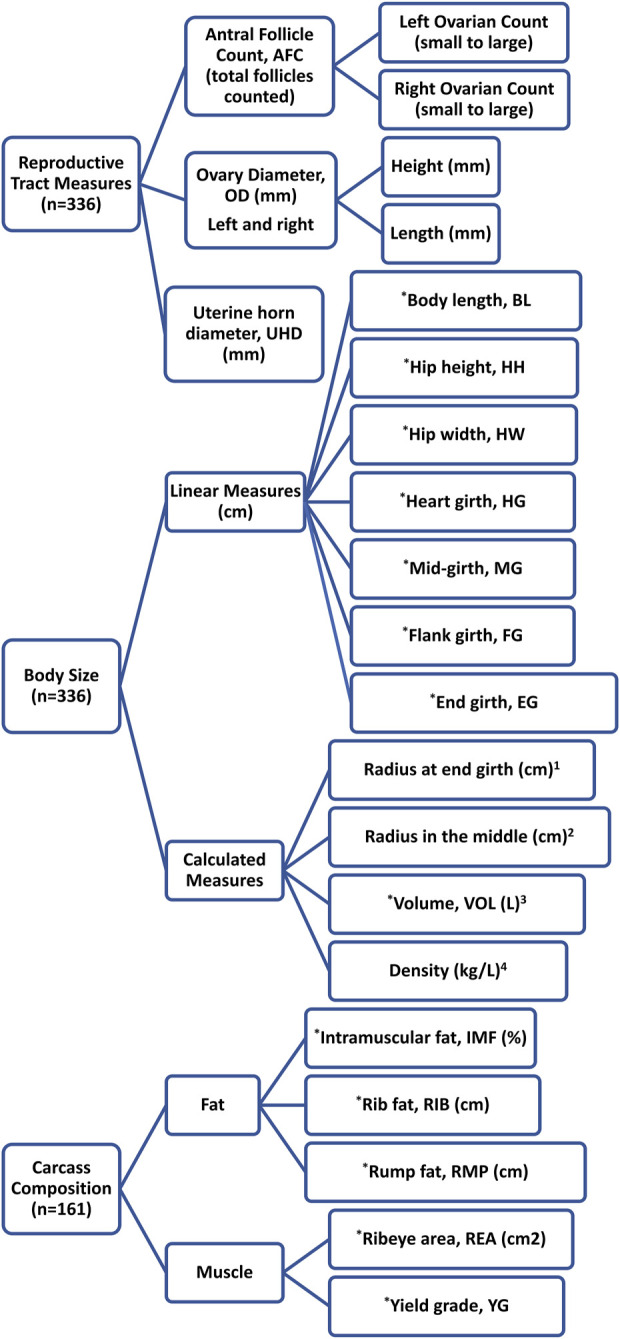 FIGURE 1