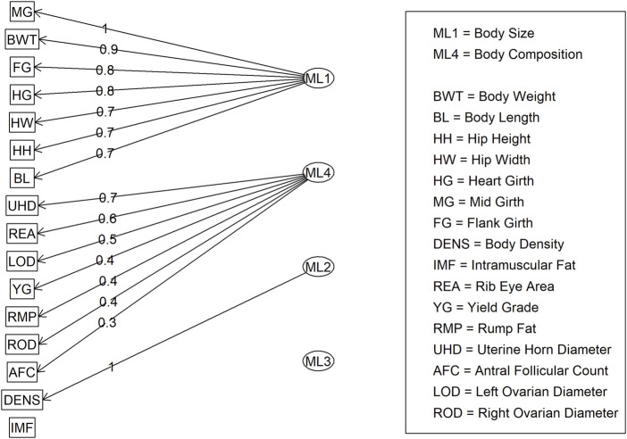 FIGURE 3
