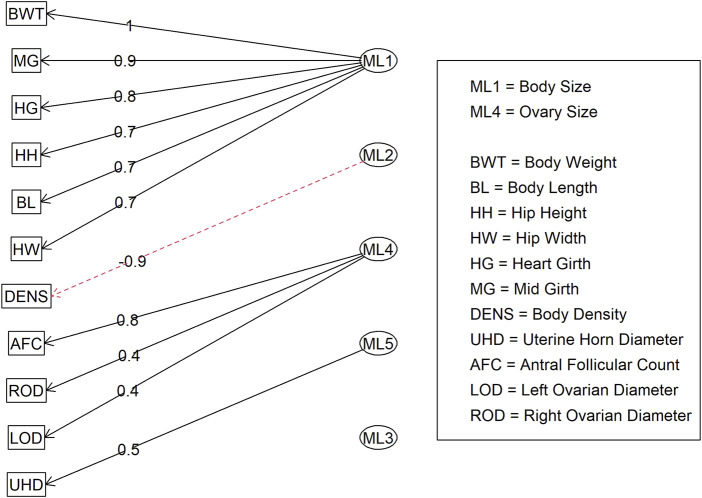 FIGURE 5