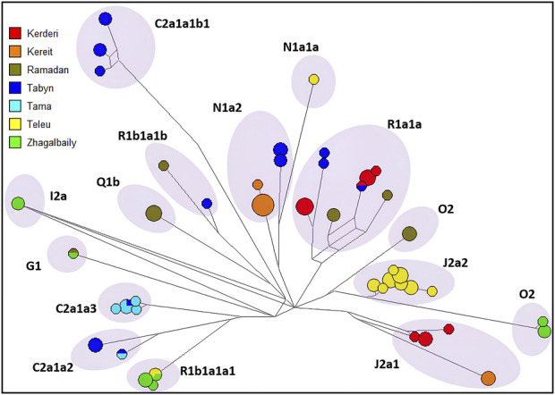 FIGURE 3