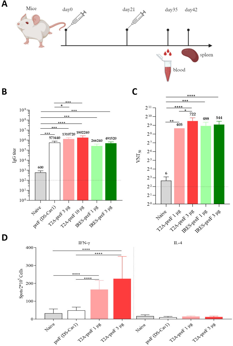 Figure 2