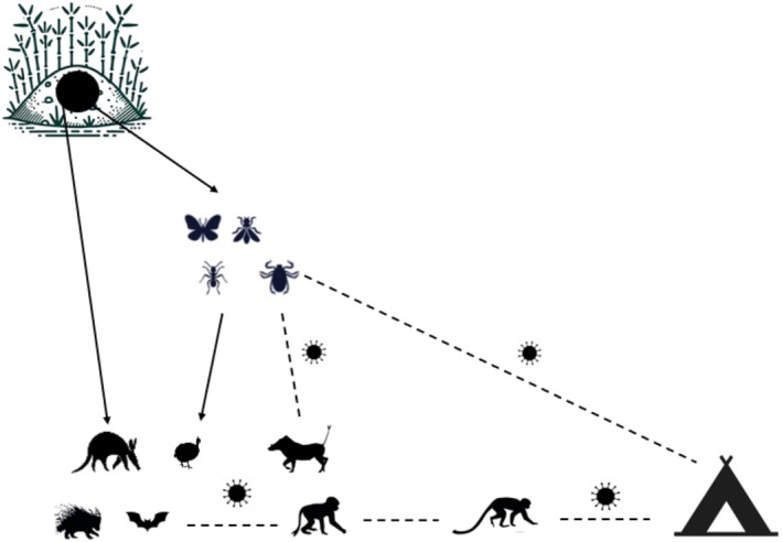 Figure 2