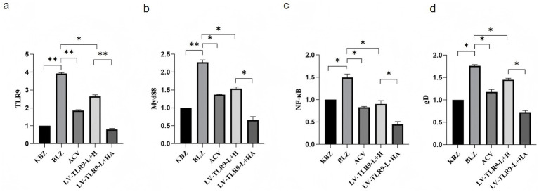 Figure 9