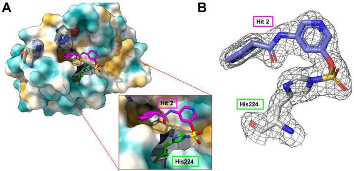 Figure 5