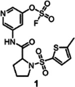 Figure 8