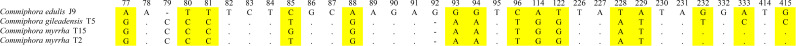 Fig 4