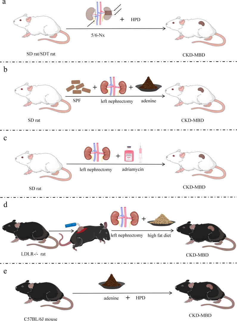 Figure 3