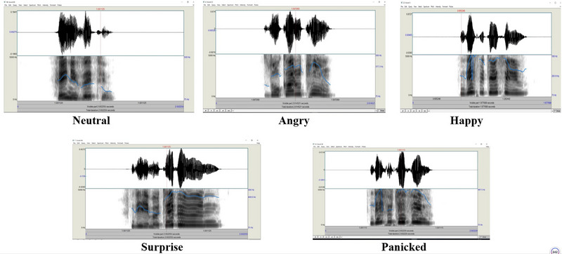 FIGURE 1