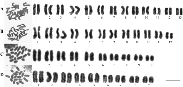 FIGURE 2