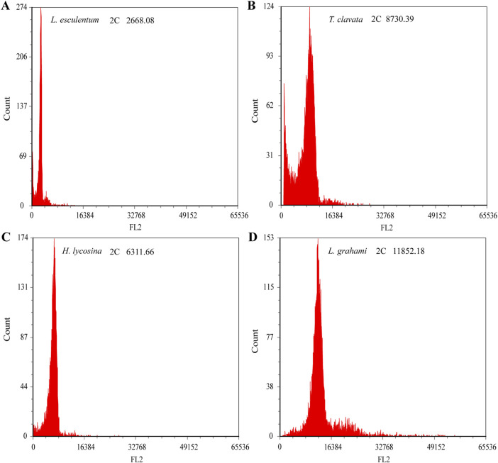 FIGURE 5