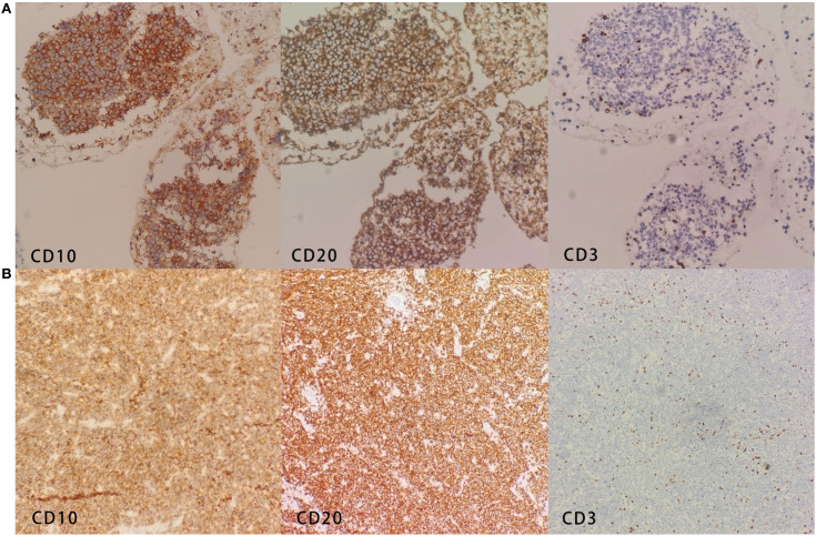 Figure 3