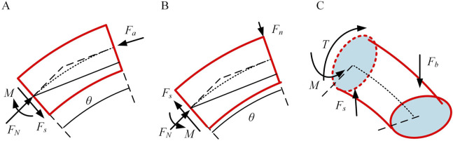 FIGURE 3