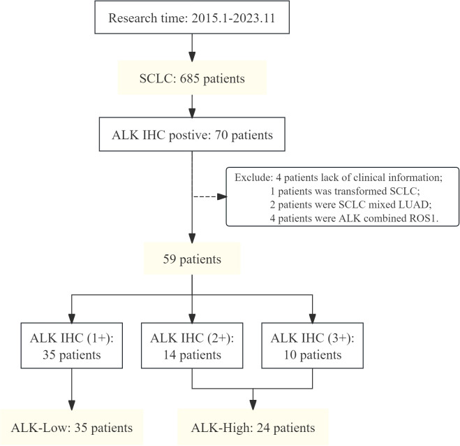Figure 1