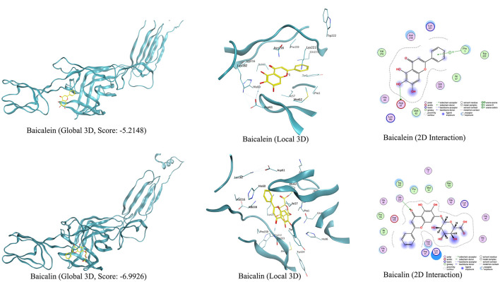 Figure 7