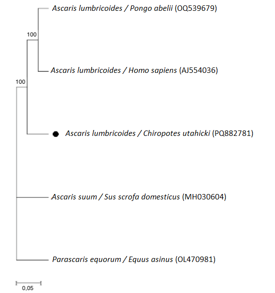 Figure 7
