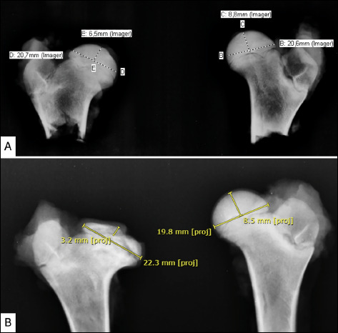 Figure 6