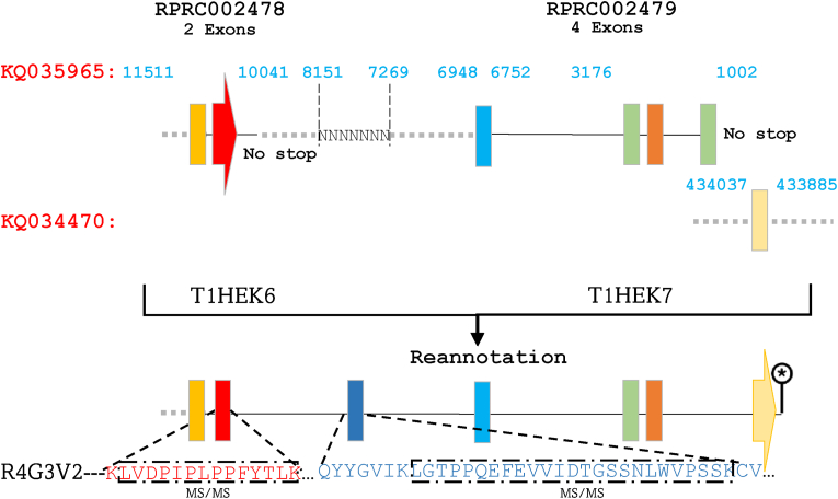 Figure 6