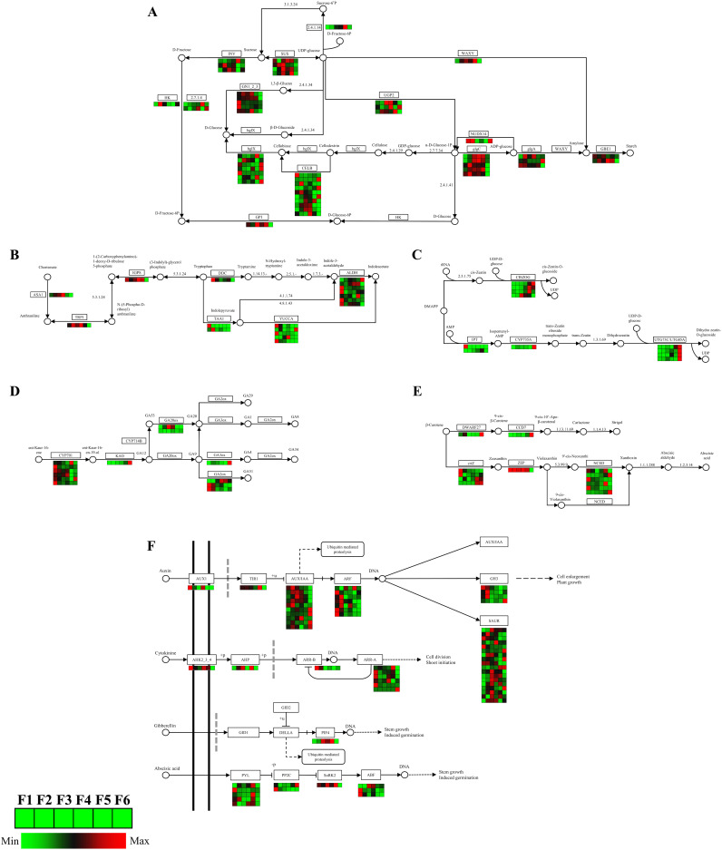 Figure 6