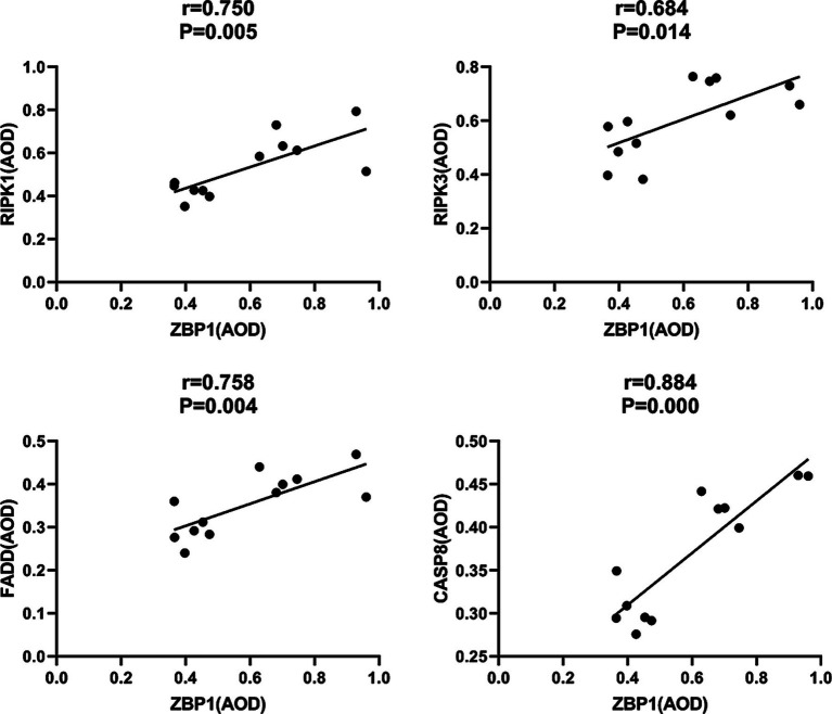 Figure 9