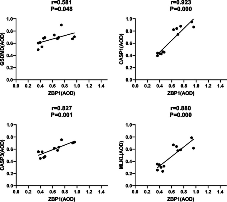 Figure 11