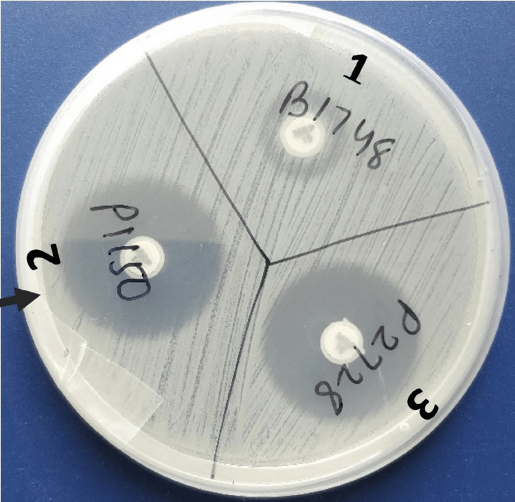 Figure 9