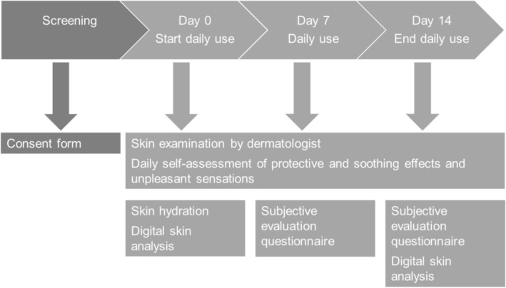 FIGURE 1
