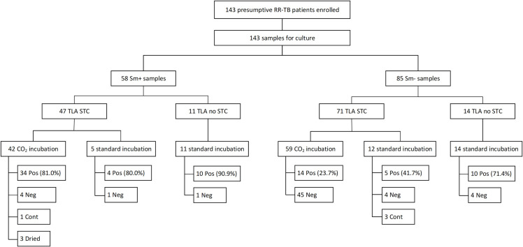 Fig 4