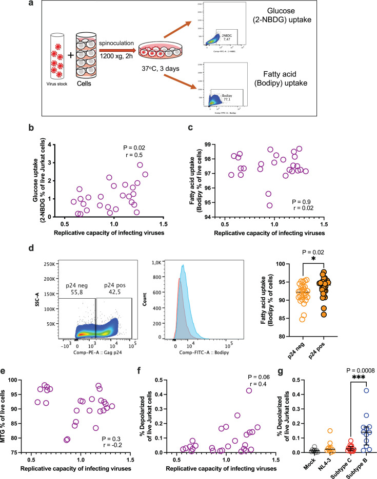 Fig 4