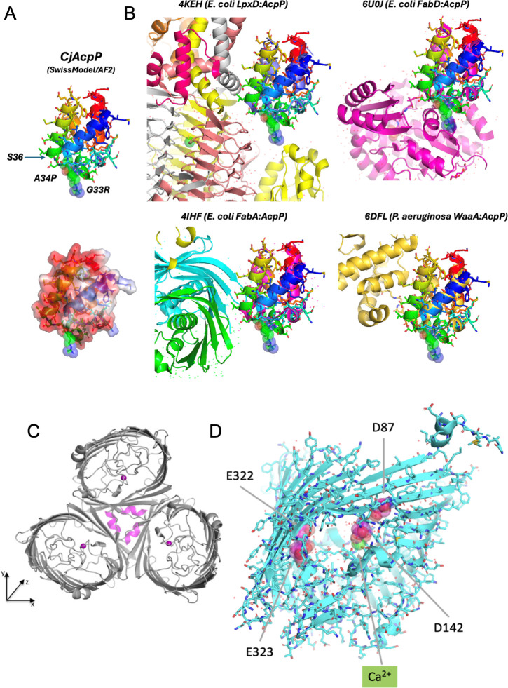 Fig 8