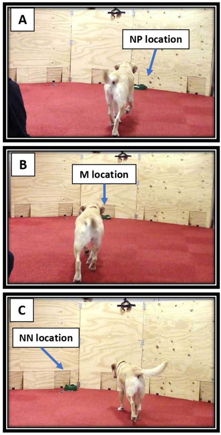 Fig 4