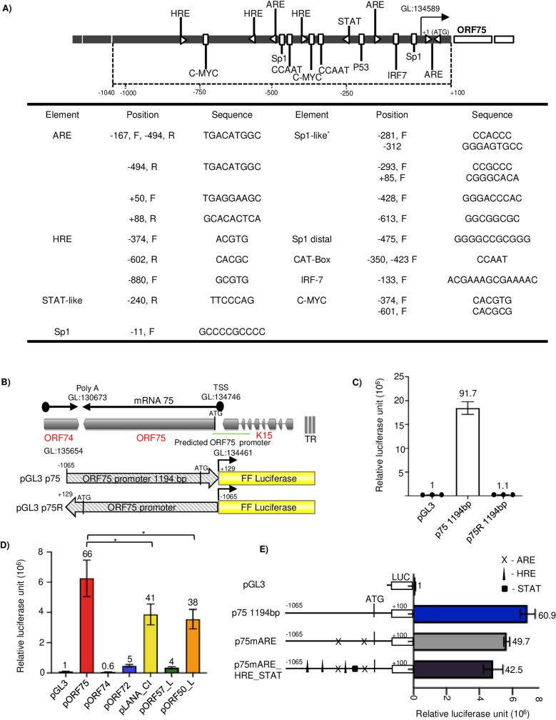 Fig 3