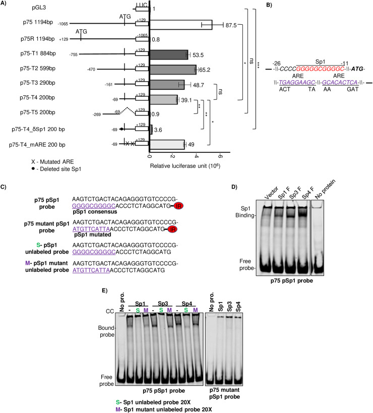 Fig 4