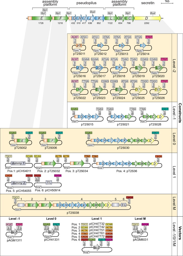 Fig 1