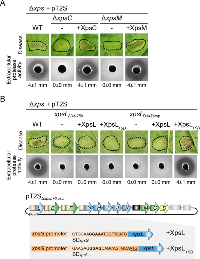 Fig 3