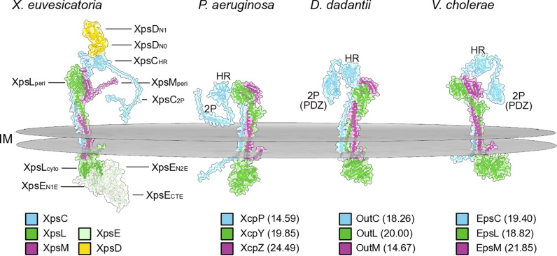Fig 4