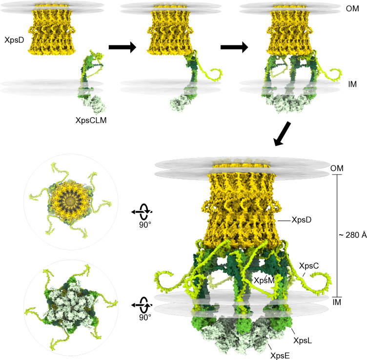 Fig 8