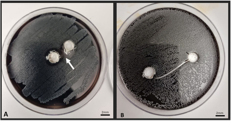 Fig 4