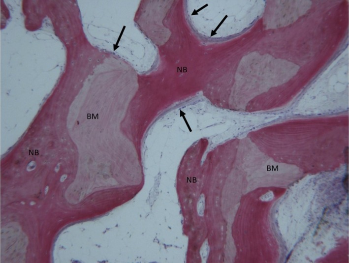 FIGURE 8