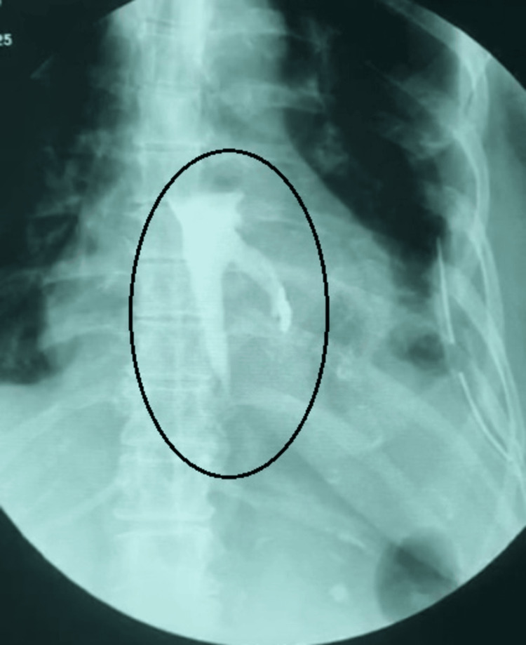 Figure 5