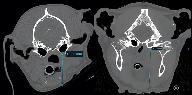 FIGURE 4