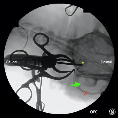 FIGURE 2