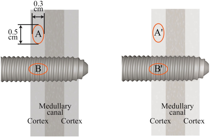 Figure 4