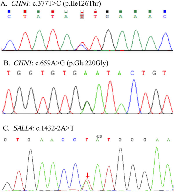 FIGURE 1