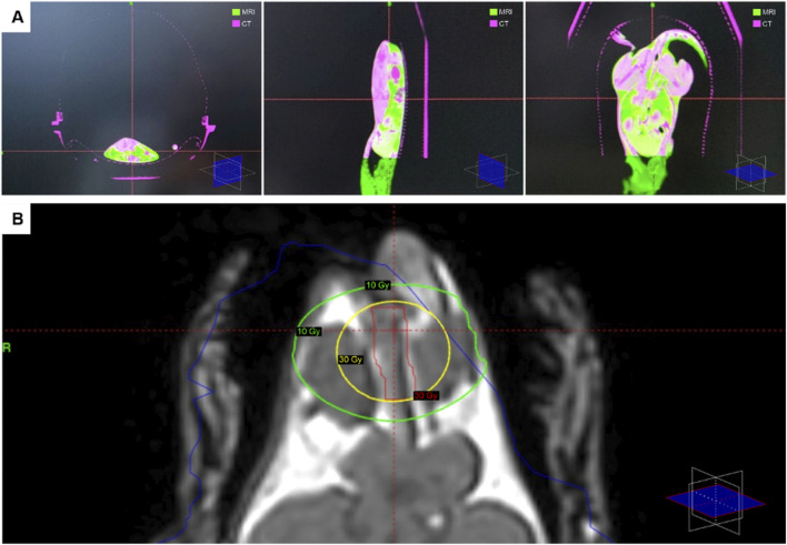 FIGURE 1