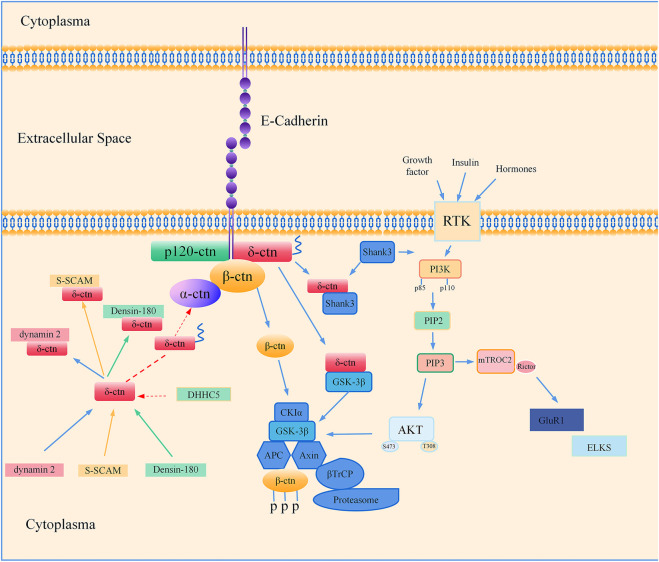 FIGURE 3