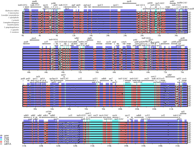 Figure 6