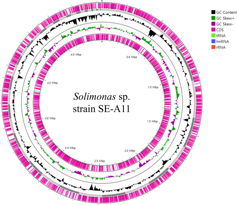 Fig 1