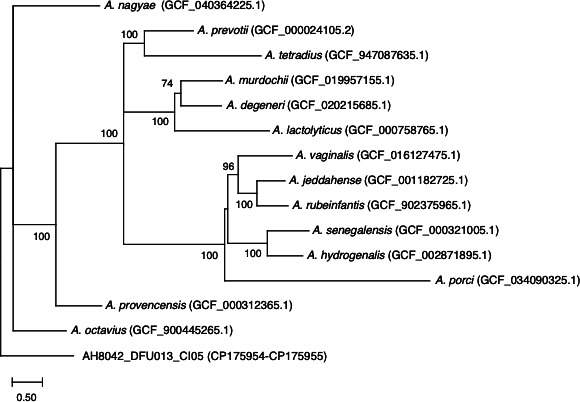 Fig 1