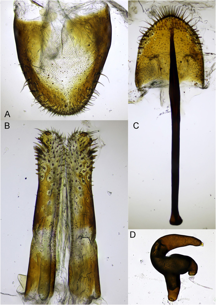 Figure 13
