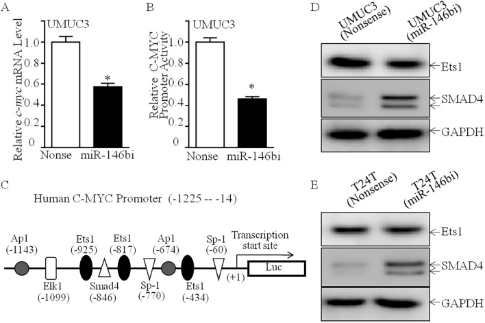 Figure 5